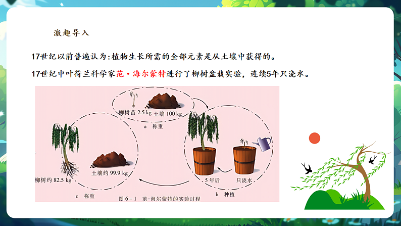 【大单元教学】人教版生物七下 3.2.2光合作用（第一课时）课件第3页