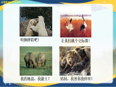 動物游戲之謎（同步課件）-中職高二語文新教材同步教學(xué)（高教版2023職業(yè)模塊）