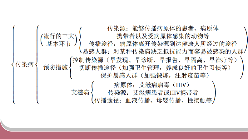 16751552第4页