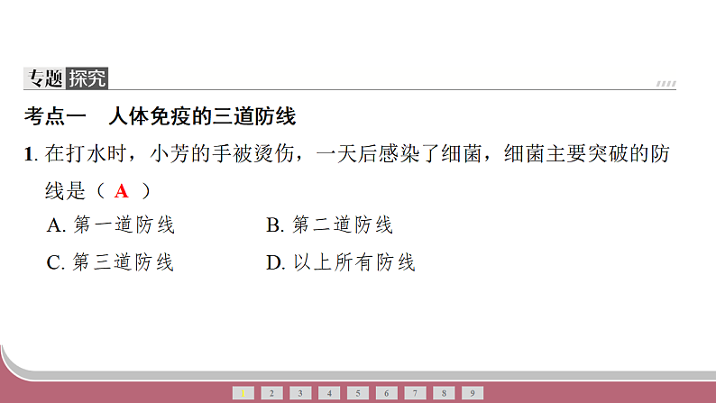 16751552第5页