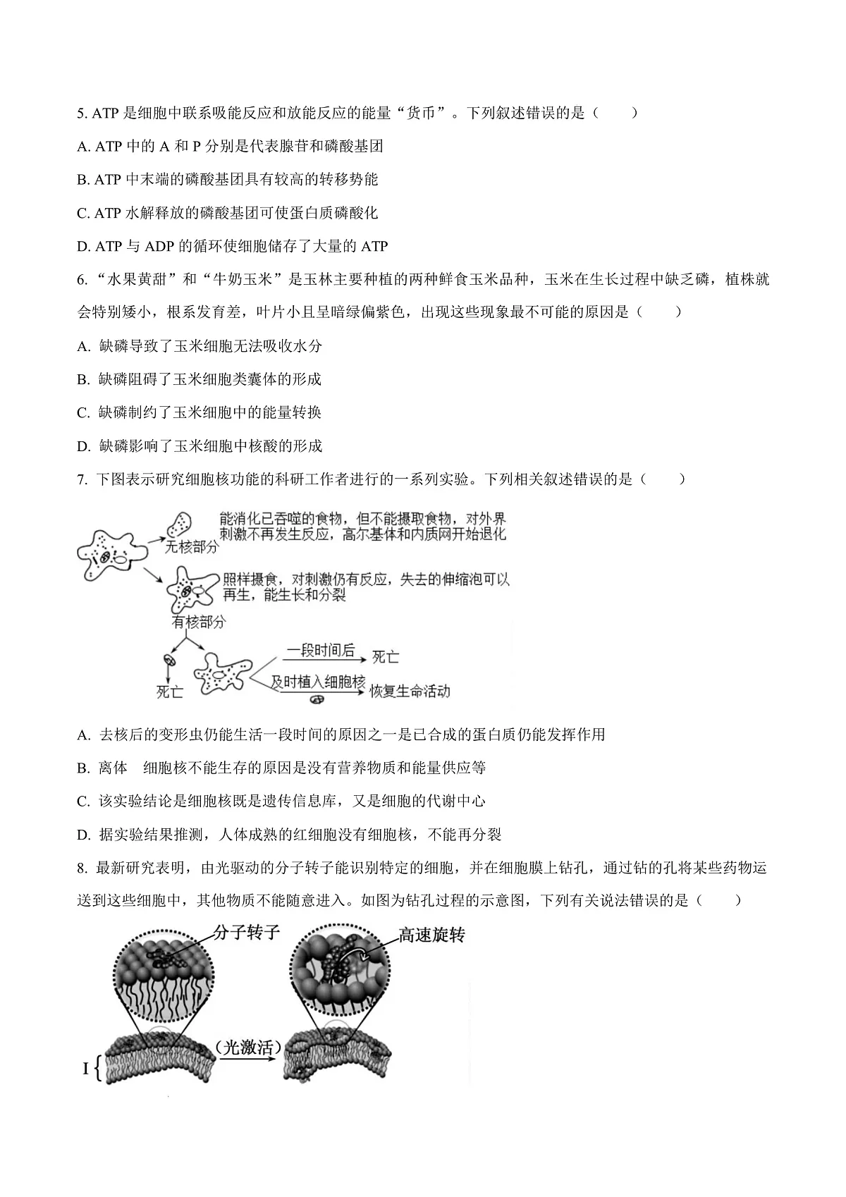 广西玉林市2024-2025学年高一上学期期末教学质量检测生物试卷 Word版无答案第3页