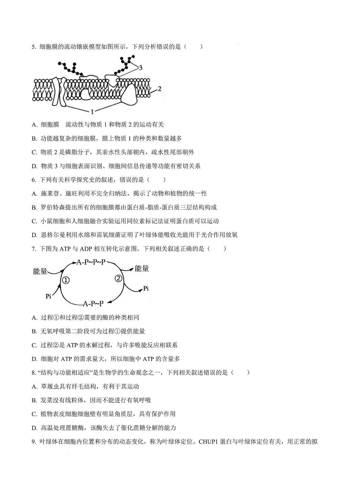 福建省漳州市2024-2025学年高一上学期期末考试生物试题 Word版无答案第3页