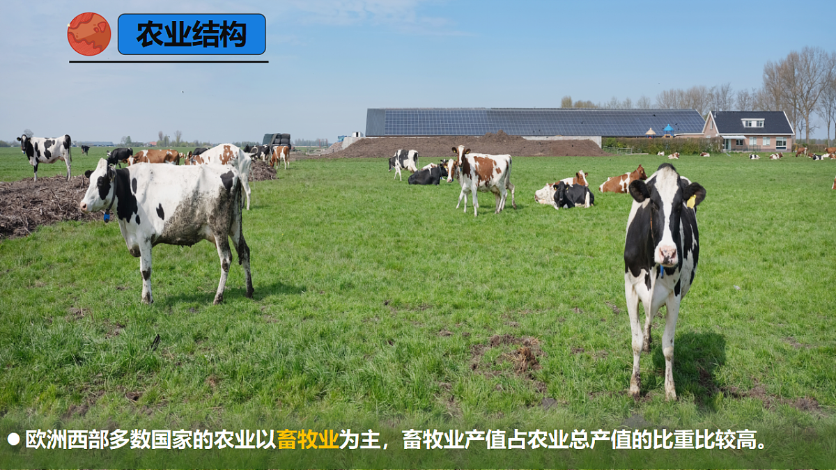 9.2.2 欧洲西部（课时2）-2024-2025学年七年级地理下册课件（人教版2024）第6页