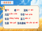 11《別了，語文課》精品課件-2024-2025學(xué)年六年級語文下冊（統(tǒng)編版五四制2024）