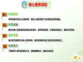 3.2.3  心臟和血管的保護(hù)  （課件）-2024-2025學(xué)年七年級生物下冊（冀少版2024）