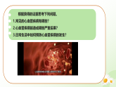 3.2.3  心臟和血管的保護(hù)  （課件）-2024-2025學(xué)年七年級生物下冊（冀少版2024）