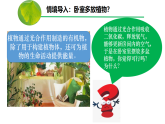 3.2.3 呼吸作用（課件）-2024-2025學(xué)年初中七年級生物下冊（人教版2024）