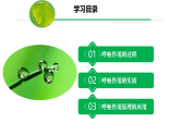 3.2.3 呼吸作用（課件）-2024-2025學(xué)年初中七年級生物下冊（人教版2024）