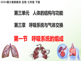 3.3.1 呼吸系統(tǒng)的組成  （課件）-2024-2025學(xué)年七年級(jí)生物下冊(cè)（冀少版2024）