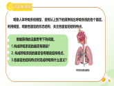 3.3.1 呼吸系統(tǒng)的組成  （課件）-2024-2025學(xué)年七年級(jí)生物下冊(cè)（冀少版2024）