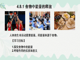 4.8.1食物中能量的釋放（課件）-2024-2025學年七年級生物下冊（北師大版2024）