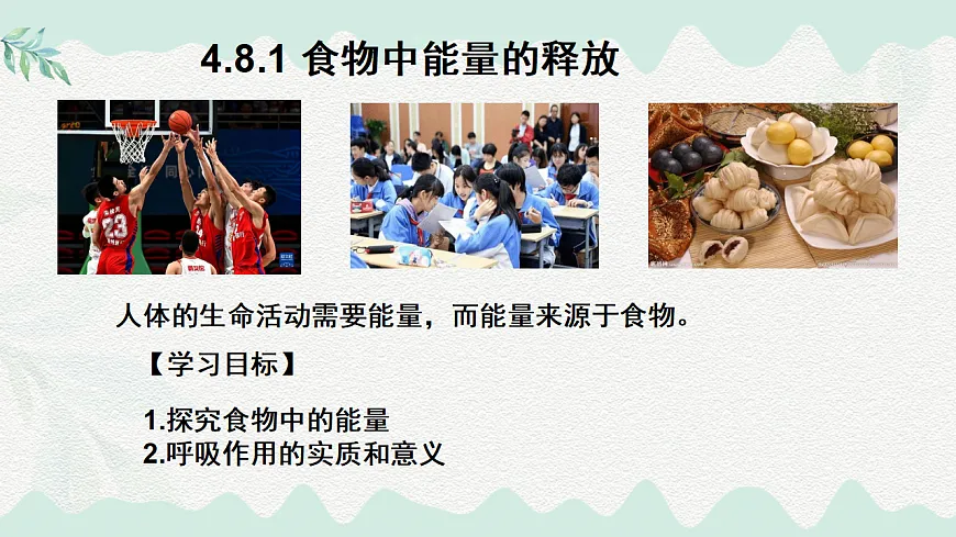 4.8.1食物中能量的释放（课件）-2024-2025学年七年级生物下册（北师大版2024）第1页