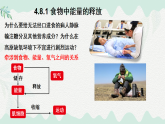 4.8.1食物中能量的釋放（課件）-2024-2025學年七年級生物下冊（北師大版2024）
