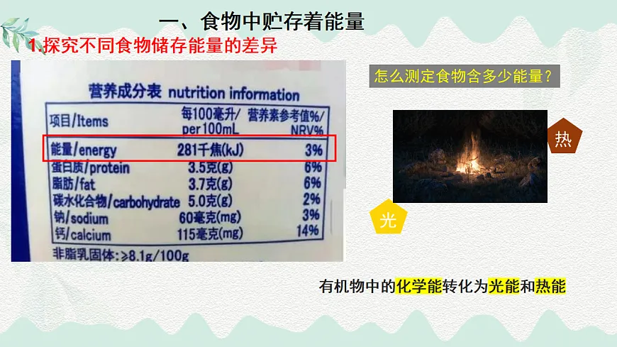 4.8.1食物中能量的释放（课件）-2024-2025学年七年级生物下册（北师大版2024）第3页