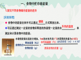 4.8.1食物中能量的釋放（課件）-2024-2025學年七年級生物下冊（北師大版2024）