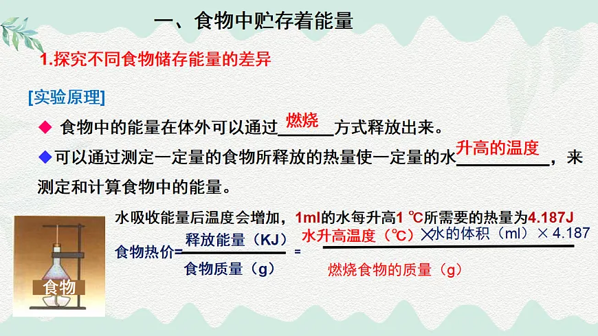 4.8.1食物中能量的释放（课件）-2024-2025学年七年级生物下册（北师大版2024）第4页