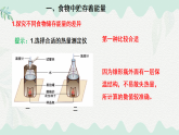 4.8.1食物中能量的釋放（課件）-2024-2025學年七年級生物下冊（北師大版2024）