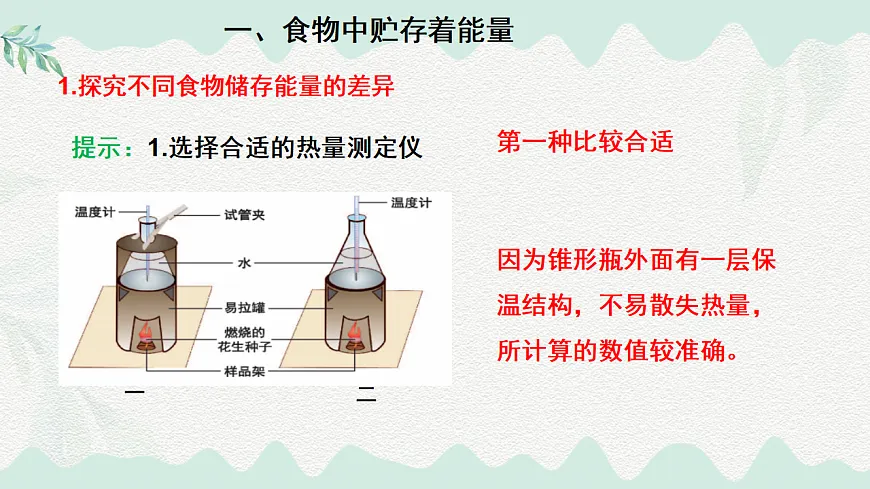 4.8.1食物中能量的释放（课件）-2024-2025学年七年级生物下册（北师大版2024）第5页