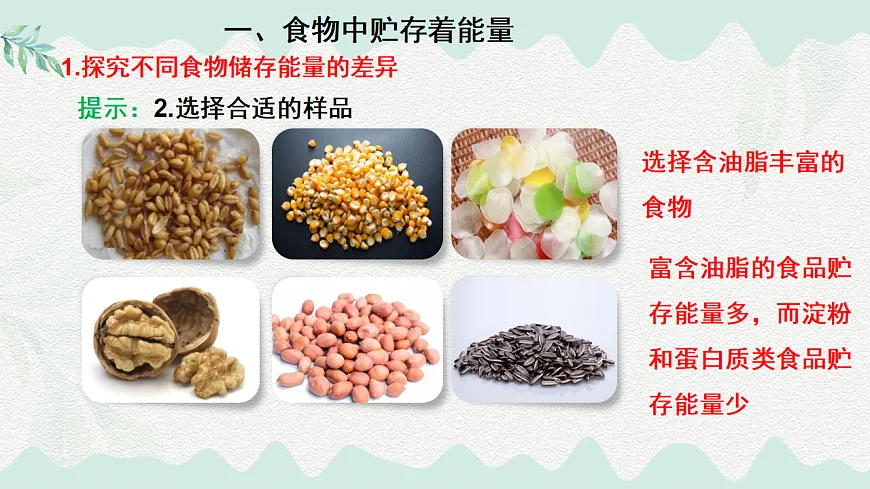 4.8.1食物中能量的释放（课件）-2024-2025学年七年级生物下册（北师大版2024）第6页
