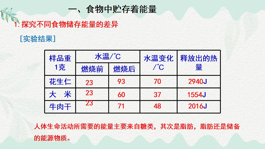 4.8.1食物中能量的释放（课件）-2024-2025学年七年级生物下册（北师大版2024）第8页