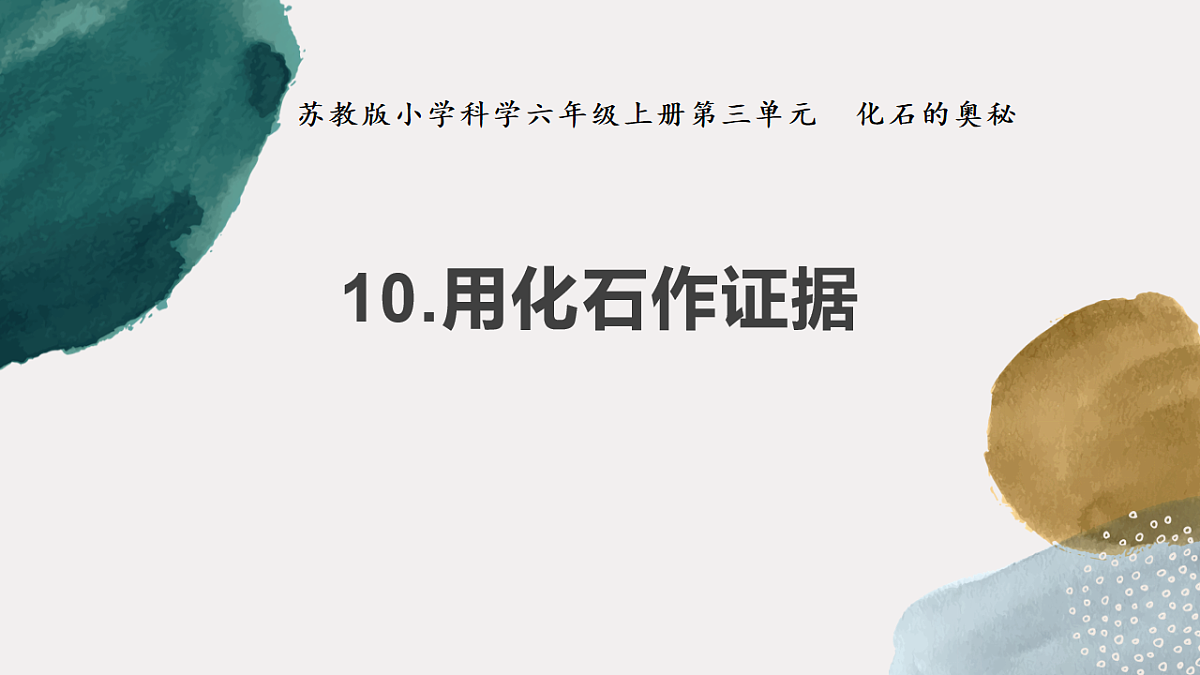 第10课 用化石作证据（教学课件）六年级科学上册（苏教版）第1页