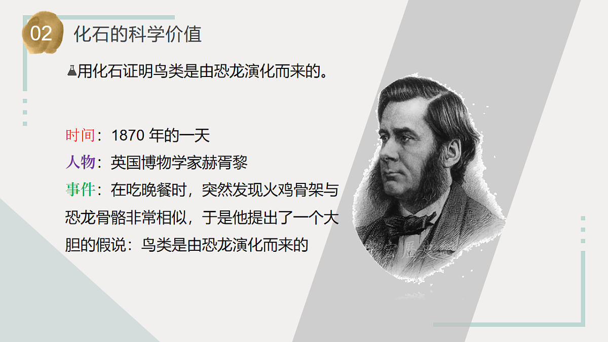 第10课 用化石作证据（教学课件）六年级科学上册（苏教版）第5页
