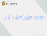 蘇教版科學(xué)六年級(jí)上冊(cè) 7《尋找遺傳與變異的秘密》課件+教案