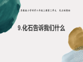 蘇教版科學(xué)六年級(jí)上冊 9《化石告訴我們什么》課件+教案
