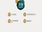 蘇教版科學(xué)六年級(jí)上冊 9《化石告訴我們什么》課件+教案