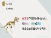蘇教版科學(xué)六年級(jí)上冊 9《化石告訴我們什么》課件+教案