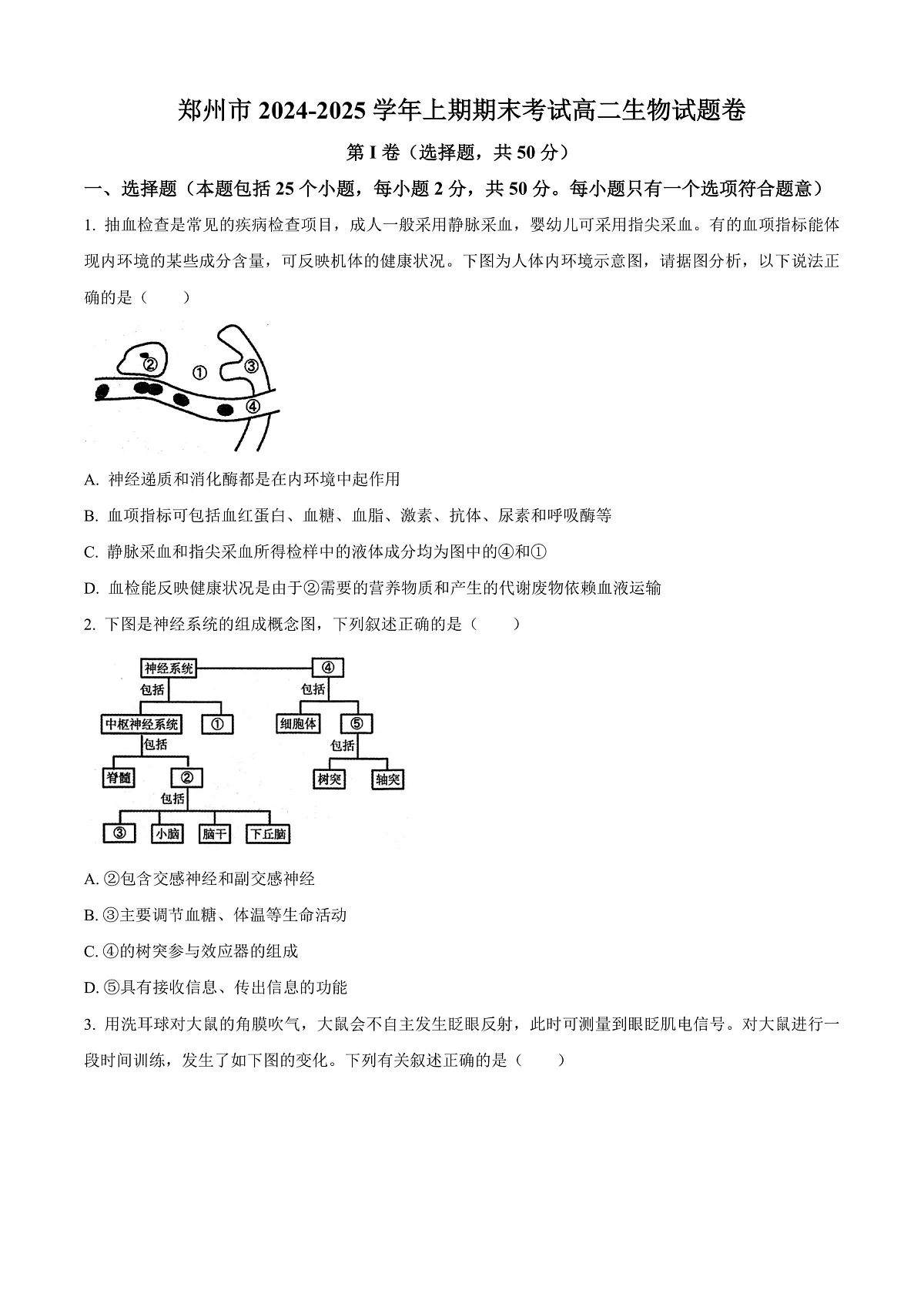 河南省郑州市2024-2025学年高二上期期末考试生物试题 Word版无答案第1页