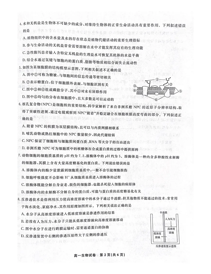 安徽省涡阳县2024-2025学年高一上学期1月期末生物试题第2页