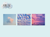 2024-2025學(xué)年湘美版美術(shù)一年級下冊5.1《軟綿綿的云》課件+素材