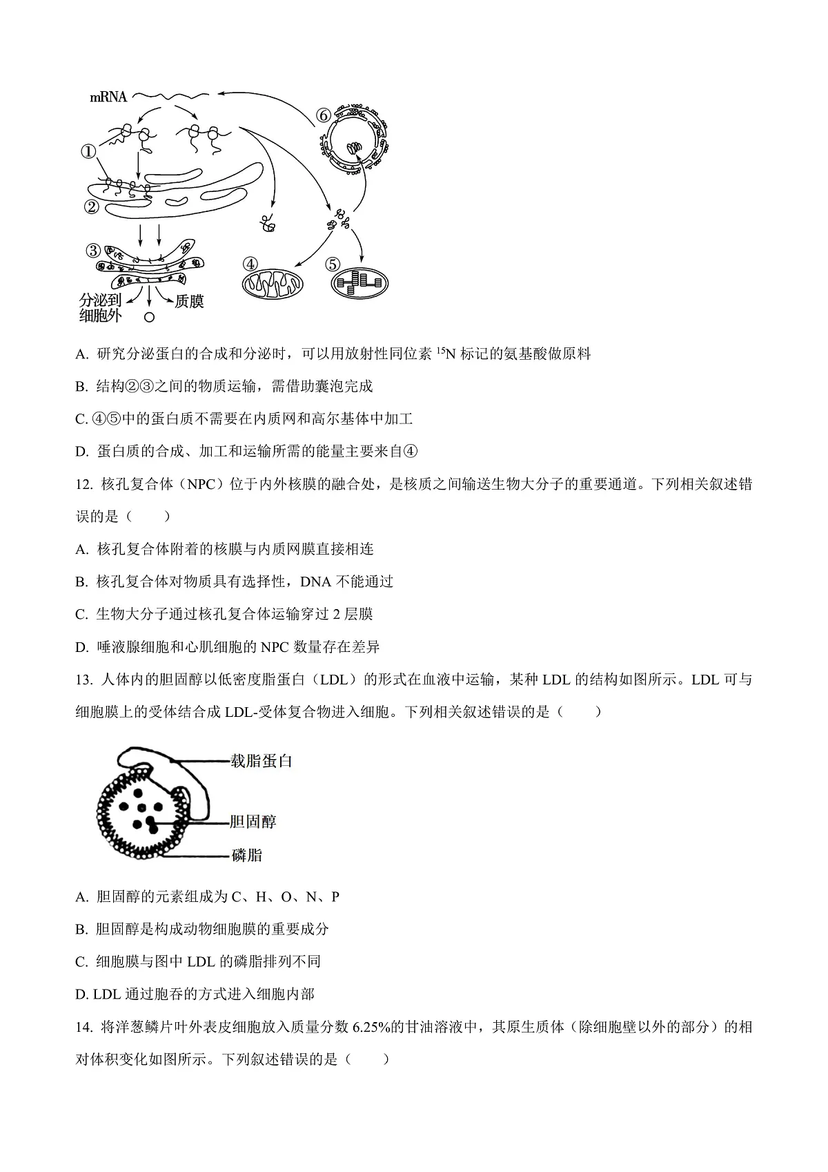 四川省绵阳市高中2024-2025学年高一上学期期末教学质量测试生物学试题 Word版无答案第3页