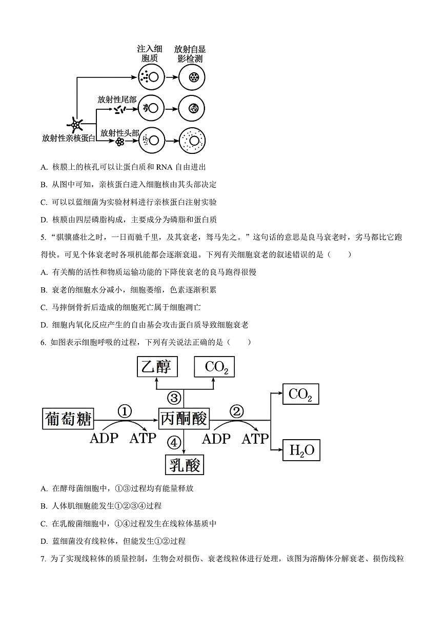 广西壮族自治区河池市2024-2025学年高一上学期1月期末生物试题  Word版无答案第2页