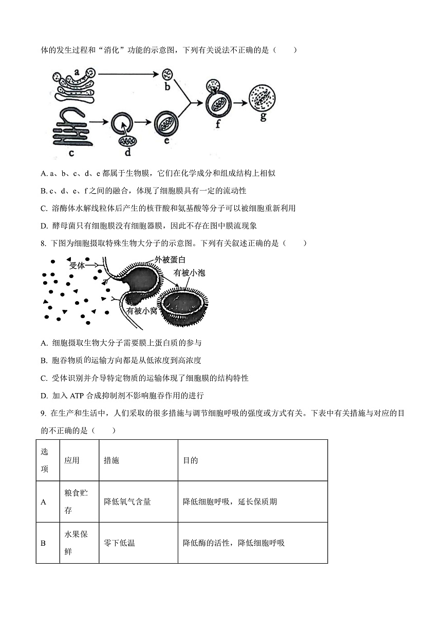 广西壮族自治区河池市2024-2025学年高一上学期1月期末生物试题  Word版无答案第3页
