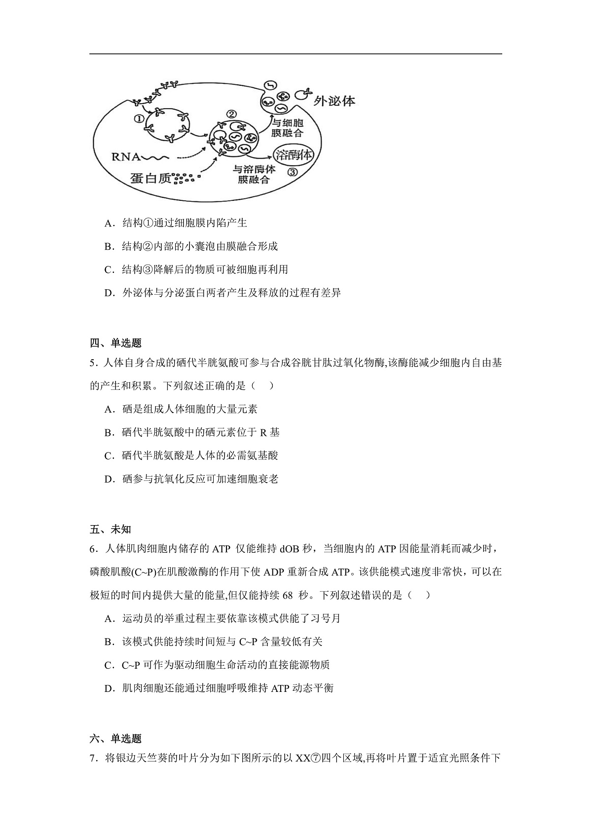 16770692第2页
