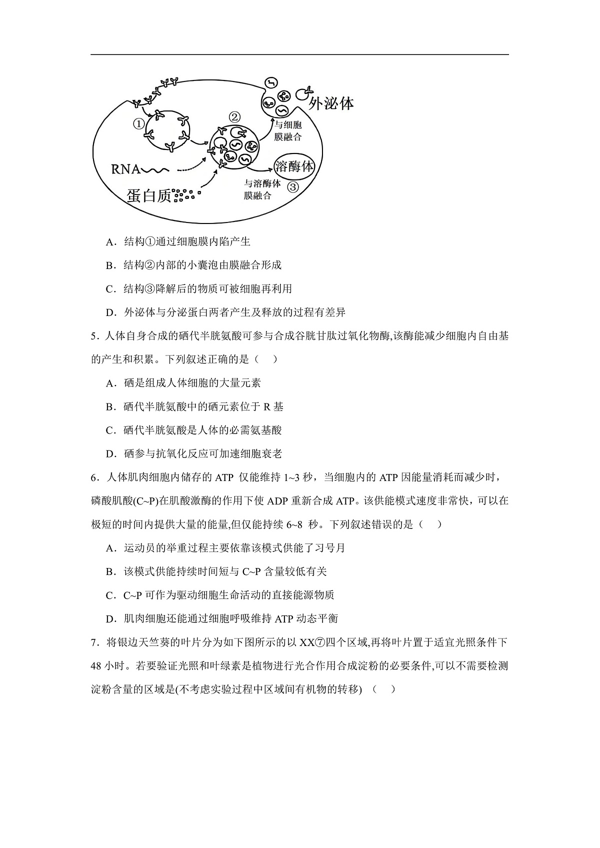 16770696第2页