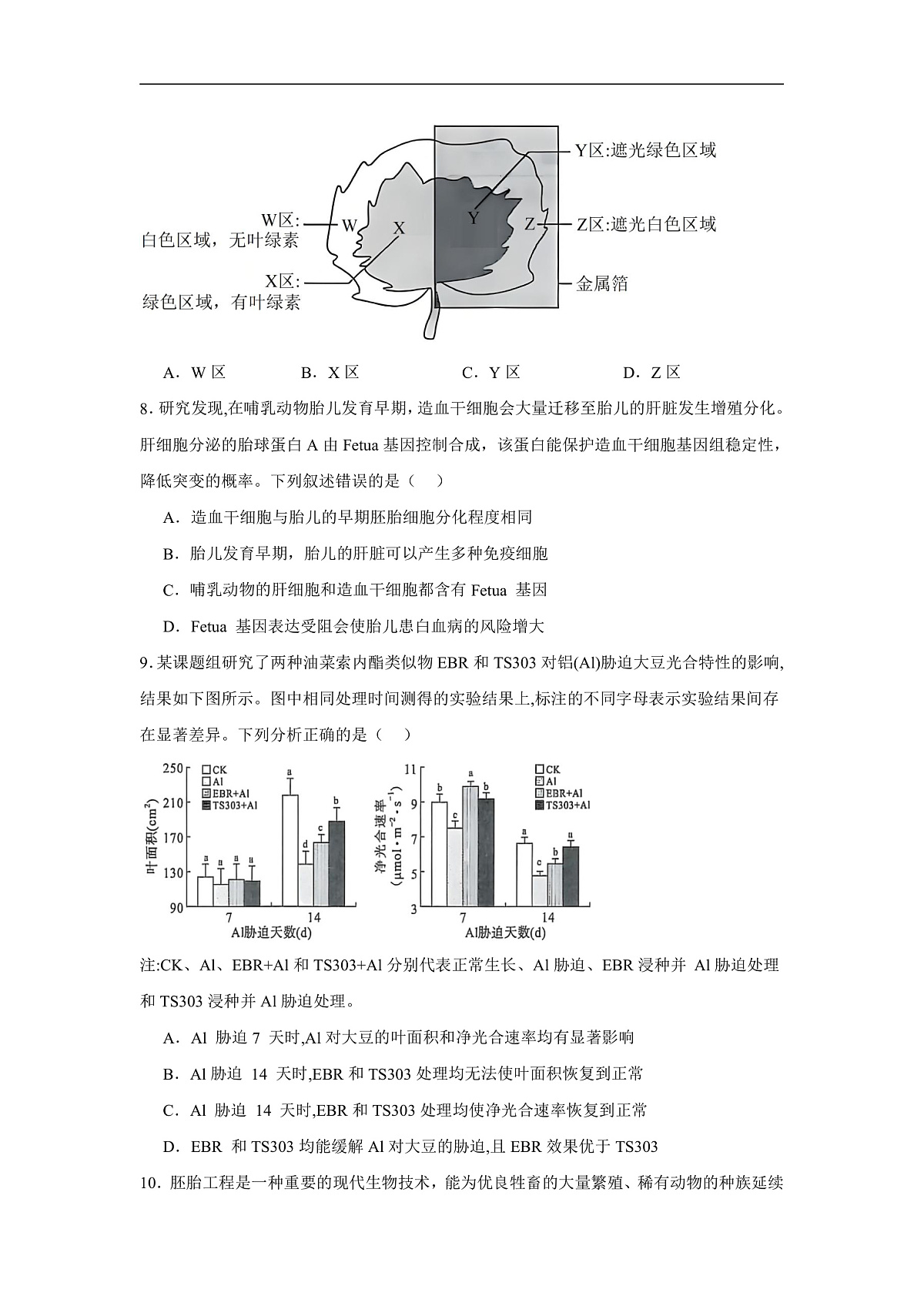 16770696第3页