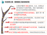 2.1 植物细胞工程（第1课时 基本技术）课件-2024-2025学年高二生物（人教版2019选择性必修3）