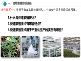 2.1 植物细胞工程（第2课时 应用）课件-2024-2025学年高二生物（人教版2019选择性必修3）