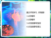 【核心素養(yǎng)優(yōu)質(zhì)課】冀少版生物七年級下冊 3.2.2血液循環(huán)的途徑和功能（課件+同步教案+導(dǎo)學(xué)案+分層作業(yè)）