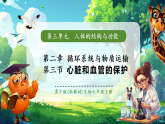 【核心素養(yǎng)優(yōu)質(zhì)課】冀少版生物七年級下冊 3.2.3心臟和血管的保護（課件+同步教案+導(dǎo)學(xué)案+分層作業(yè)）