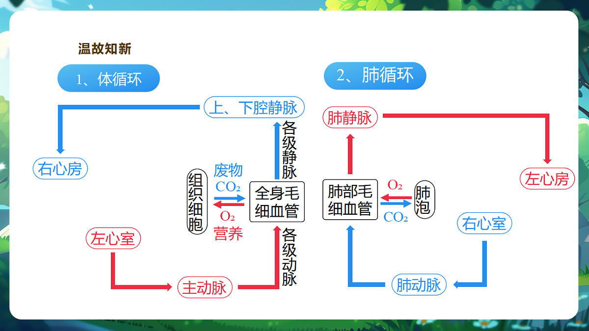 【核心素养】冀少版（新教材）生物七下3.2.3心脏和血管的保护 课件(共31张PPT)第4页