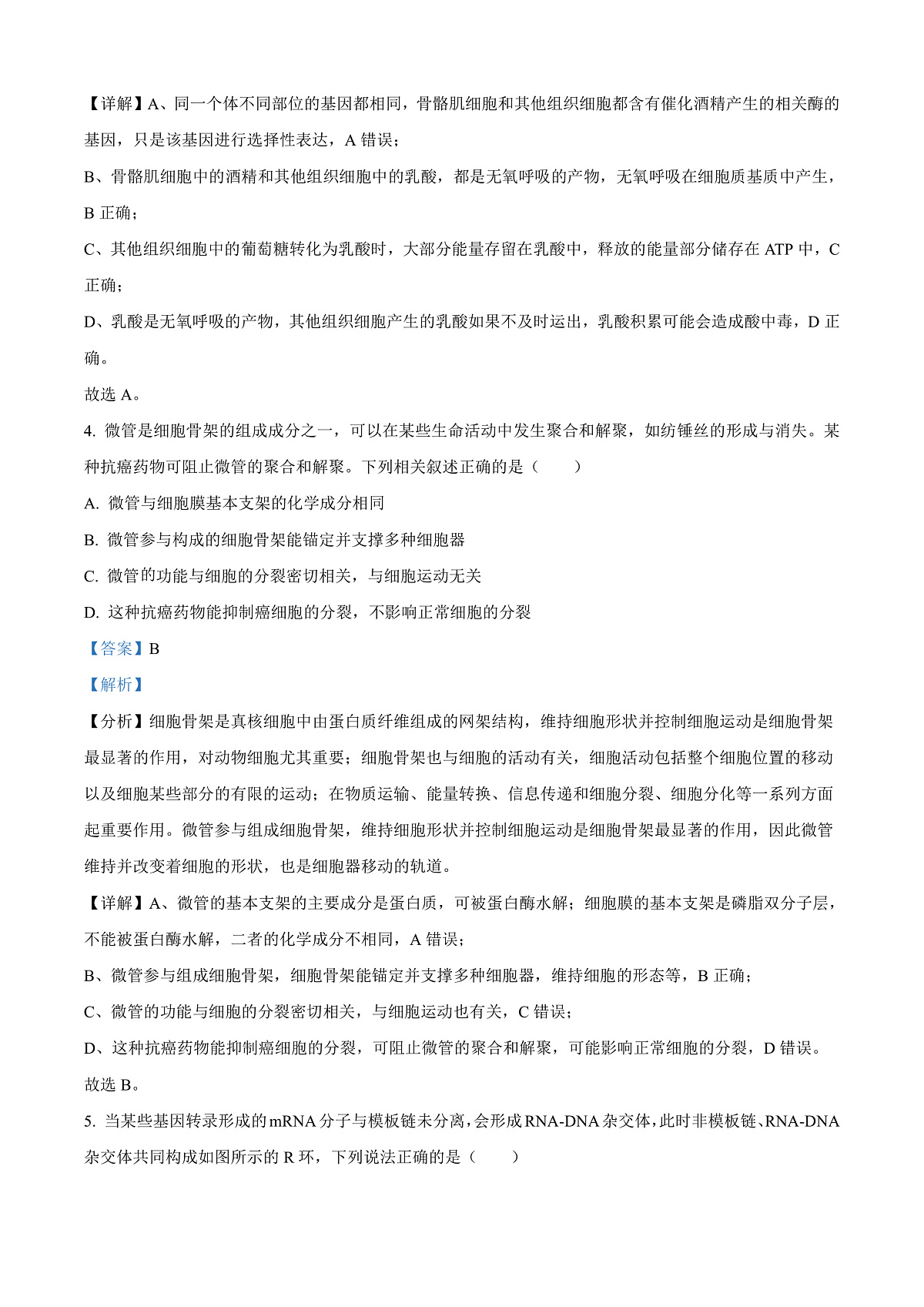 安徽省宿州市2024-2025学年高三上学期期末教学质量检测生物试卷  Word版含解析第3页