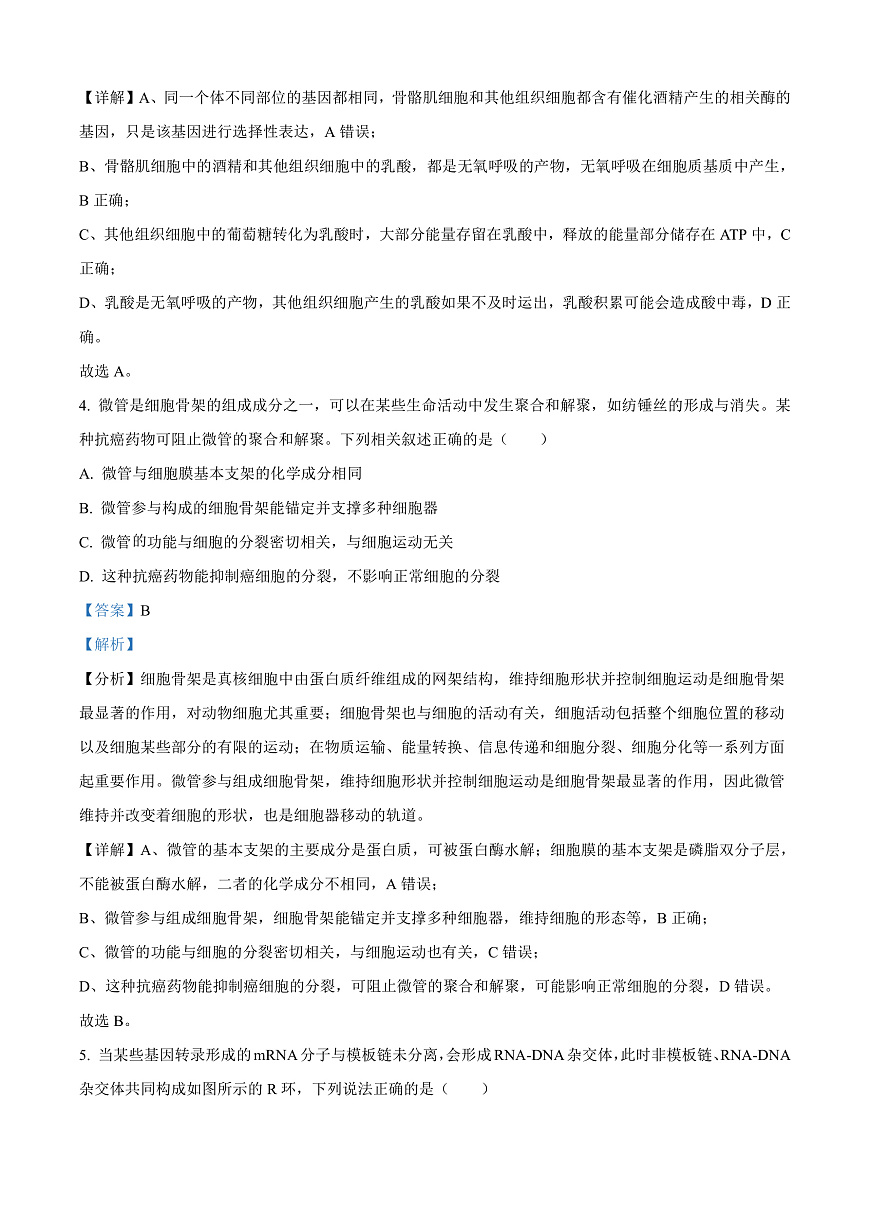 安徽省宿州市2024-2025学年高三上学期期末教学质量检测生物试卷  Word版含解析第3页