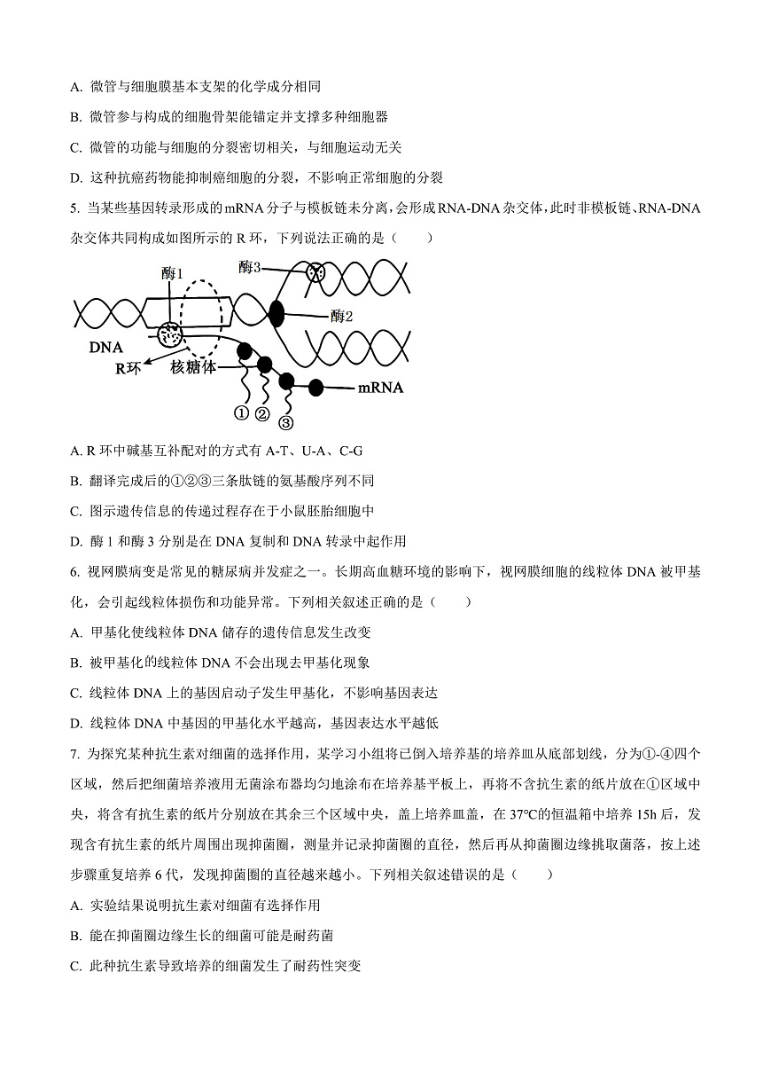 安徽省宿州市2024-2025学年高三上学期期末教学质量检测生物试卷  Word版无答案第2页