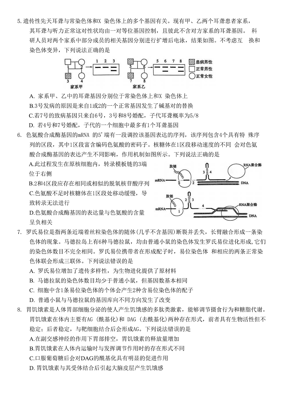 山东省烟台市2025届高三一模考试 生物试题（含答案）第2页