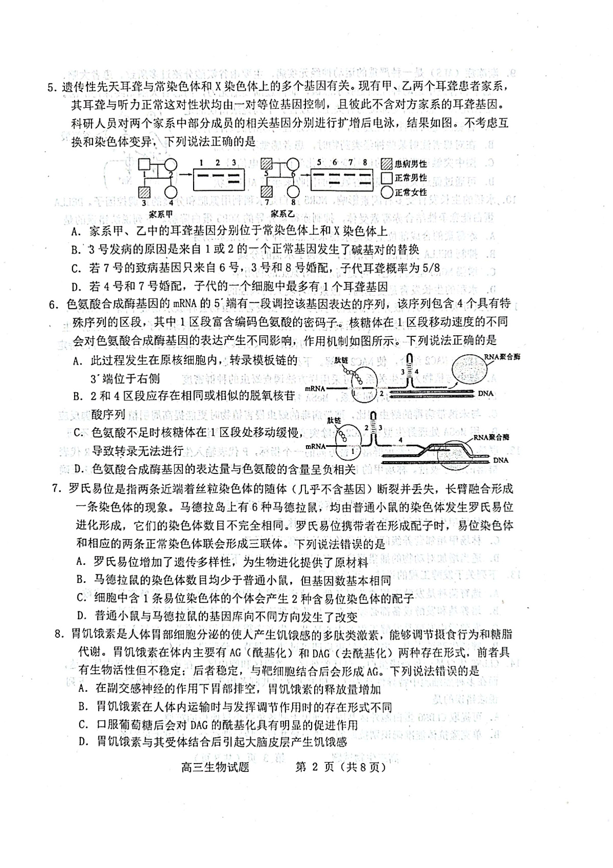 生物试题第2页