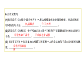 部编版九年级语文下册第六单元关键能力提升训练课件